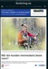 Når ble hunden menneskets beste venn?