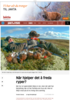 Når hjelper det å freda ryper?