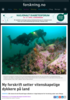 Ny forskrift setter vitenskapelige dykkere på land