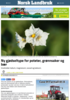 Ny gjødseltype for poteter, grønnsaker og bær