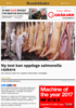 Ny test kan oppdage salmonella raskere