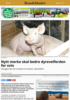Nytt merke skal bedre dyrevelferden for svin