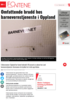 Omfattende brudd hos barnevernstjeneste i Oppland