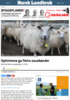 Optimisme ga fleire sauebønder