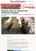 Positive tester av vaksine mot afrikansk svinepest