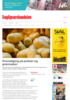 Prisnedgang på poteter og grønnsaker