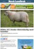 Rådes til å bruke tilstrekkelig med hanndyr