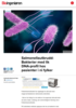 Salmonellautbrudd: Bakterier med lik DNA-profil hos pasienter i ni fylker
