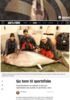 Sju tonn til sportsfiske
