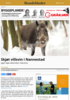 Skjøt villsvin i Nannestad
