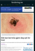 Slik kan borrelia gjøre deg syk for livet