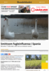 Smittsom fugleinfluensa i Spania