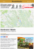 Storbrann i Moelv