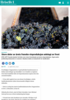 Store deler av årets franske vinproduksjon ødelagt av frost