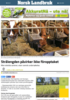 Strålengden påvirker ikke fôropptaket