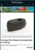Sverige fikk tilbake steinalderøks fra Norge