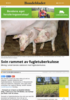 Svin rammet av fugletuberkulose