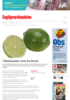 Tilbakekaller lime fra Brasil