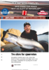 Tre sikre for sjøørreten