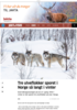 Tre ulveflokker sporet i Norge så langt i vinter