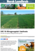 UKE 19: Nitrogenopptak i høsthvete