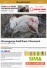 Ulveangrepa held fram i Danmark