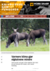 Varmere klima gjør elgkalvene mindre