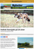 Vedtok lisensjakt på 24 ulver
