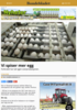 Vi spiser mer egg