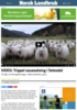 VIDEO: Trippel sauesatsing i Setesdal