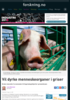Vil dyrke menneskeorganer i griser